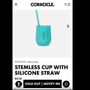 Corkcicle Cup & Straw